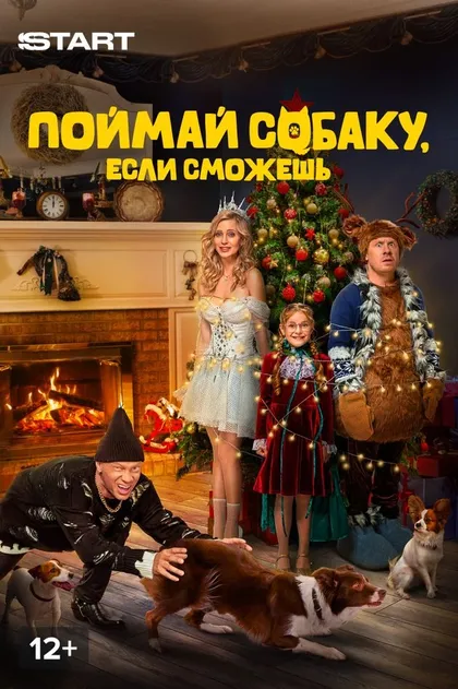 Постер Поймай собаку, если сможешь (2024)