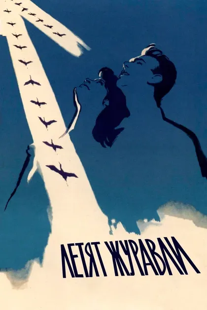 Постер Летят журавли (1957)